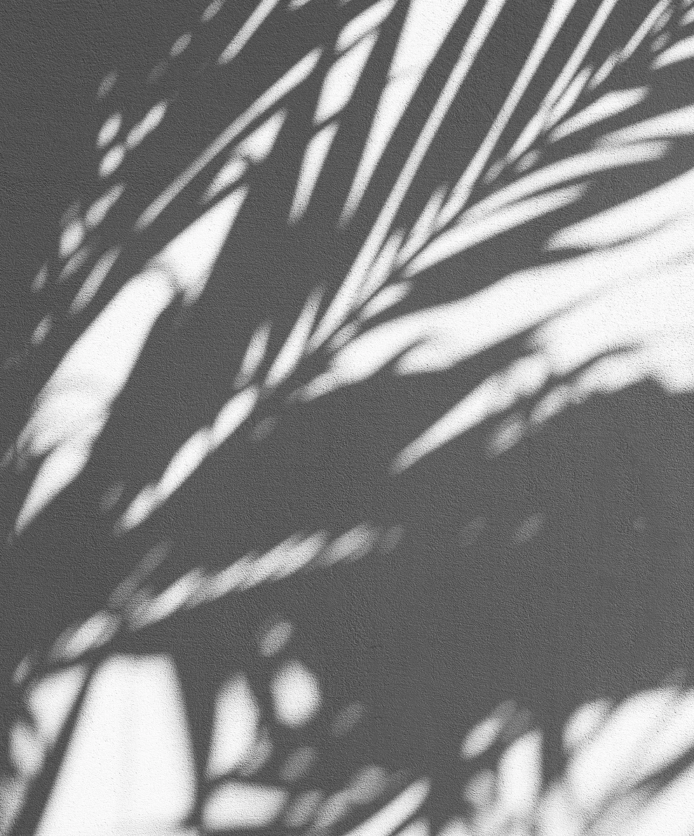 Botanical shadow photography for Anavi Organics